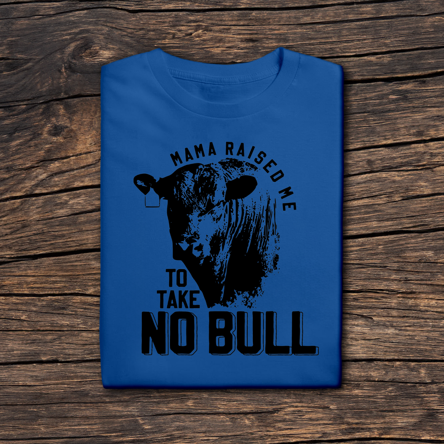 Mama Raised Me To Take No Bull